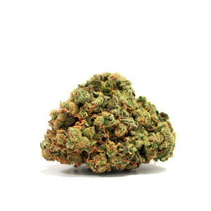 GOLDEN LEMONS (DNA Certified)